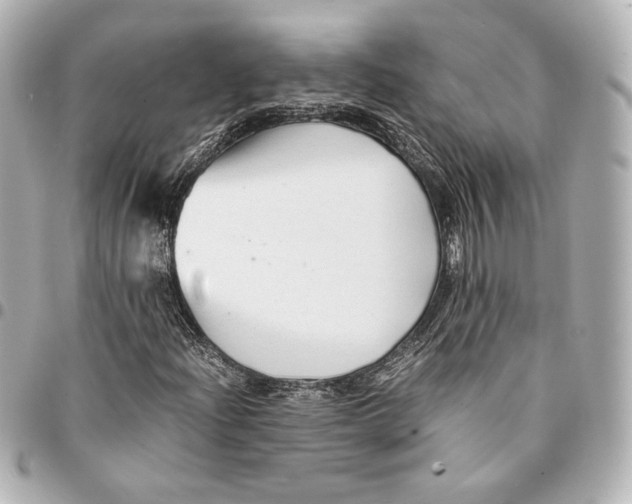 X0000094951204200712201129