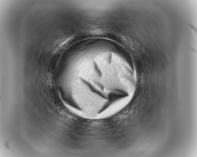 X0000094951205200712201129