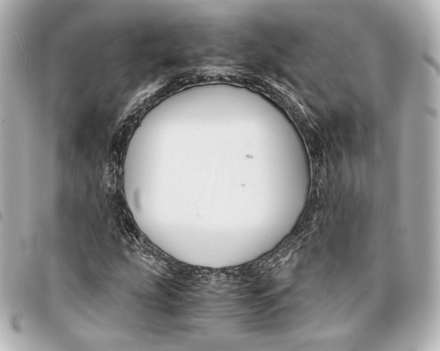 X0000094951207200712201129