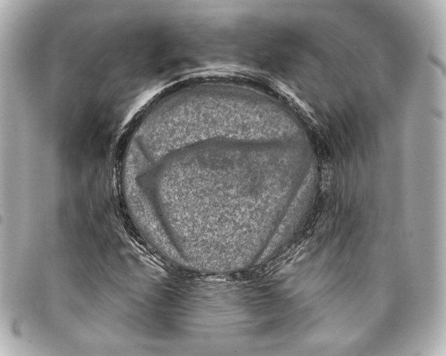 X0000094951208200712201129