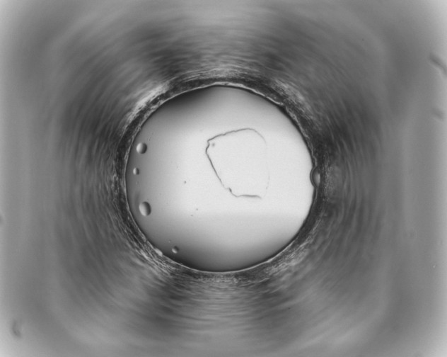 X0000094951210200712201130