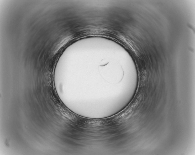 X0000094951211200712201130