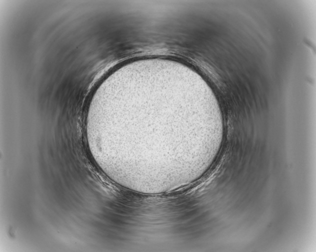 X0000094951212200712201130