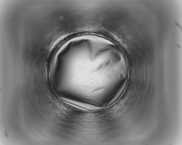 X0000094951214200712201130