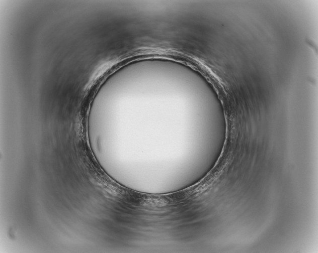 X0000094951215200712201130