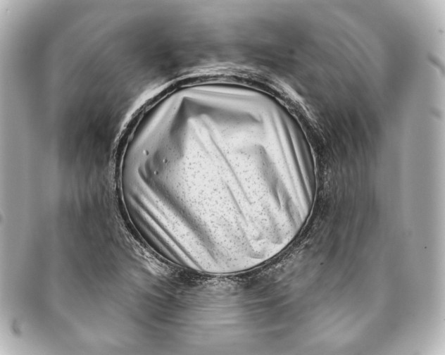 X0000094951216200712201130