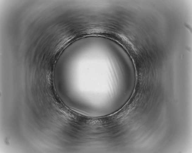 X0000094951217200712201130