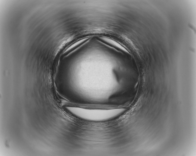 X0000094951218200712201130