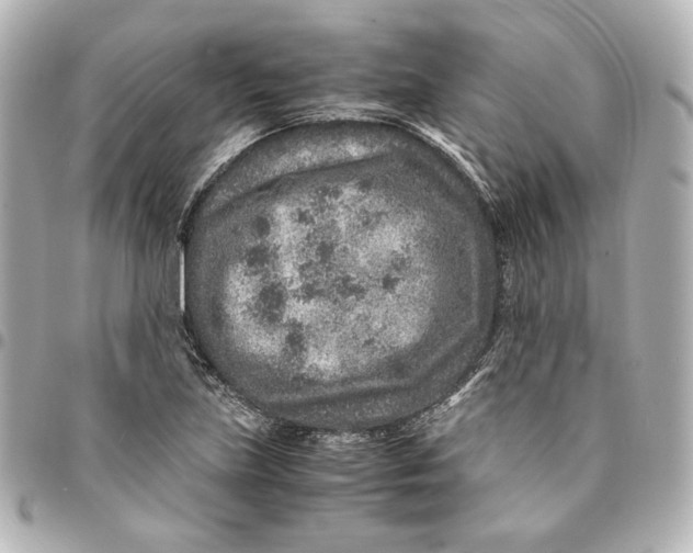 X0000094951219200712201130