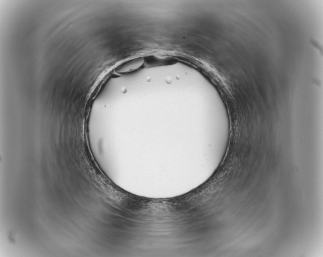 X0000094951220200712201130