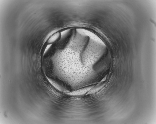 X0000094951222200712201130