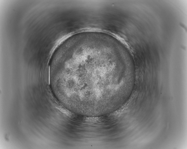 X0000094951223200712201130