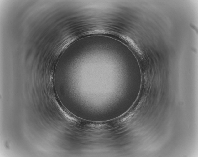 X0000094951225200712201130