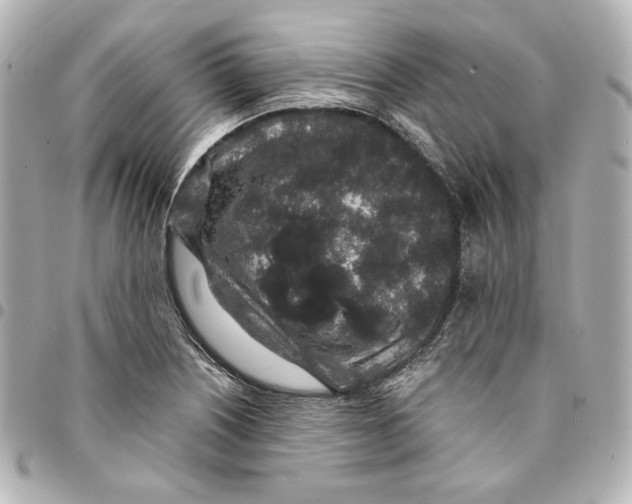 X0000094951226200712201130