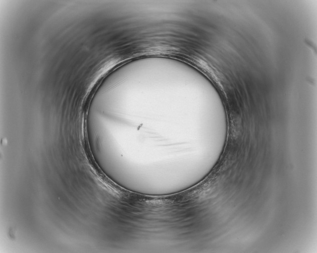 X0000094951227200712201130