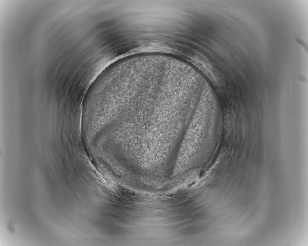 X0000094951228200712201130