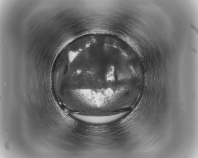 X0000094951229200712201130