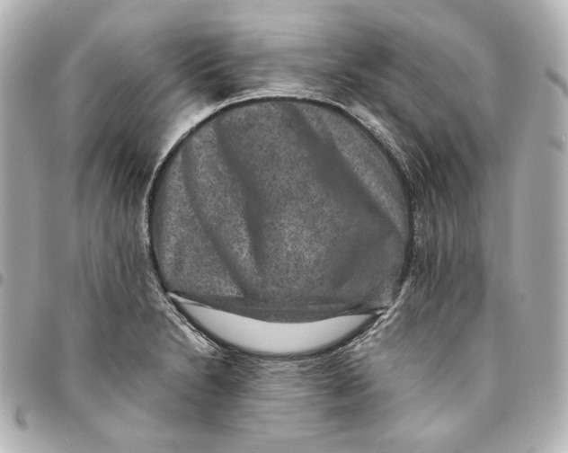 X0000094951230200712201130