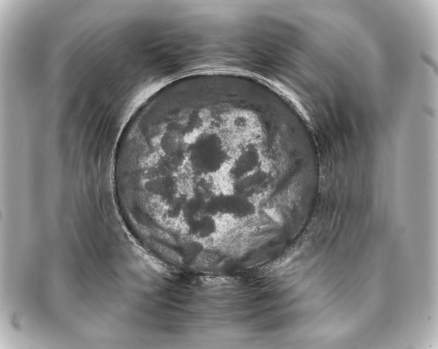 X0000094951231200712201130