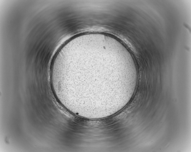 X0000094951232200712201130