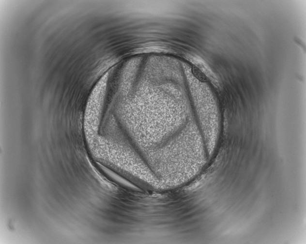 X0000094951233200712201130