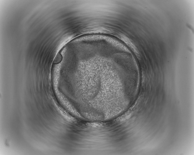 X0000094951234200712201130