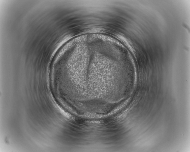 X0000094951235200712201130