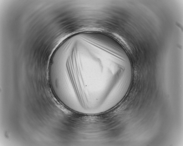 X0000094951236200712201130