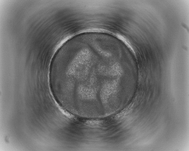 X0000094951237200712201130