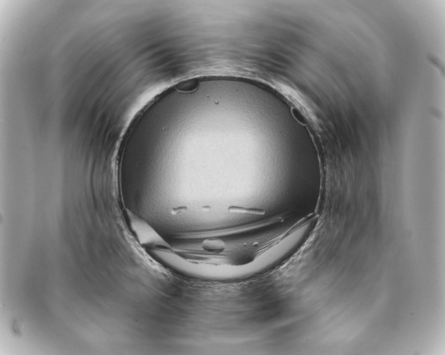 X0000094951238200712201130