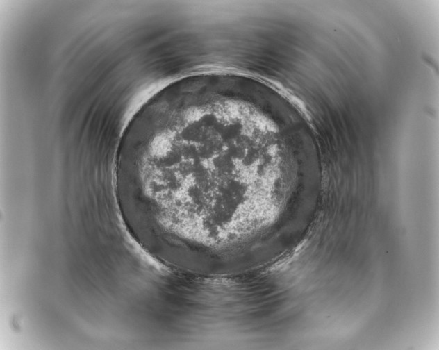 X0000094951239200712201130