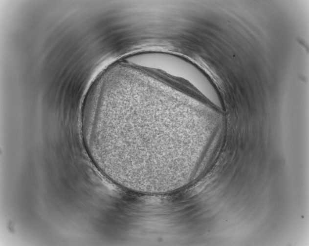 X0000094951240200712201130