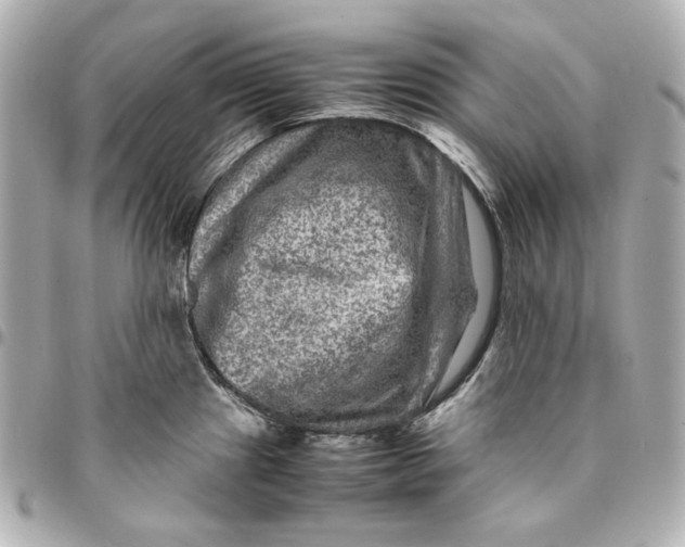 X0000094951241200712201130