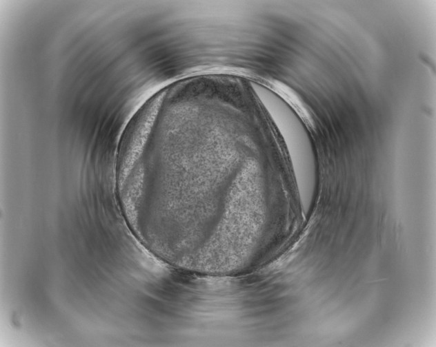 X0000094951244200712201130