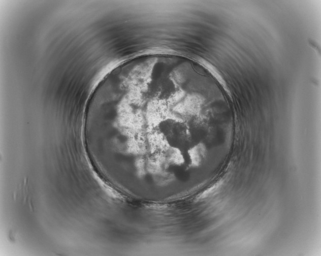 X0000094951245200712201130