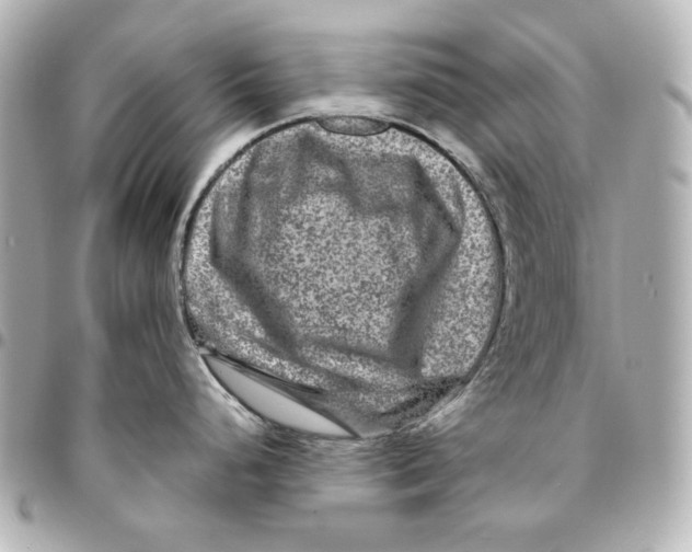 X0000094951248200712201130