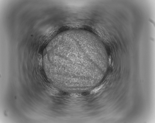 X0000094951251200712201129