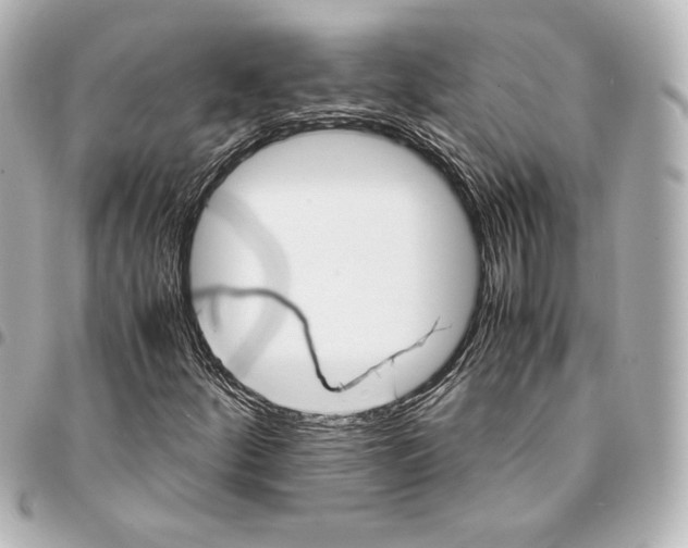 X0000094951252200712201129