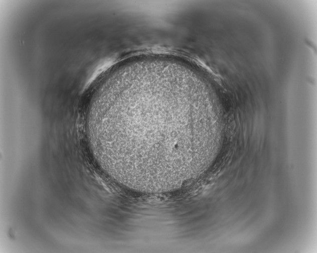 X0000094951255200712201129