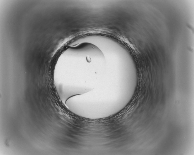 X0000094951256200712201129