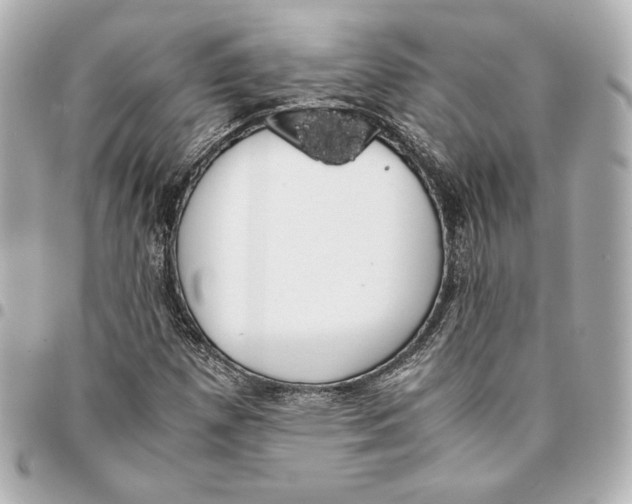 X0000094951257200712201129