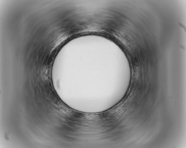 X0000094951258200712201129