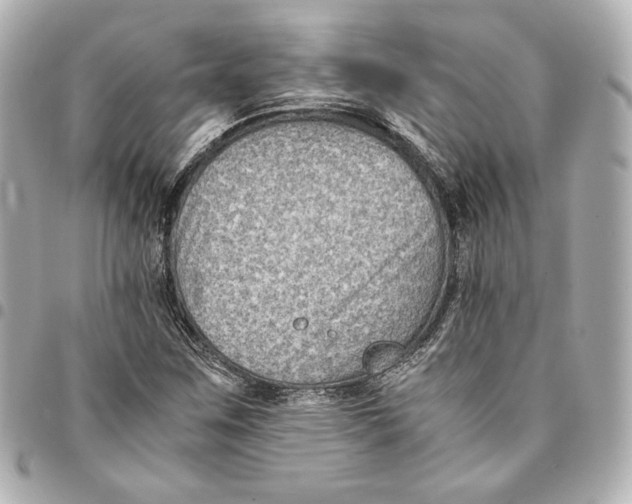 X0000094951259200712201129