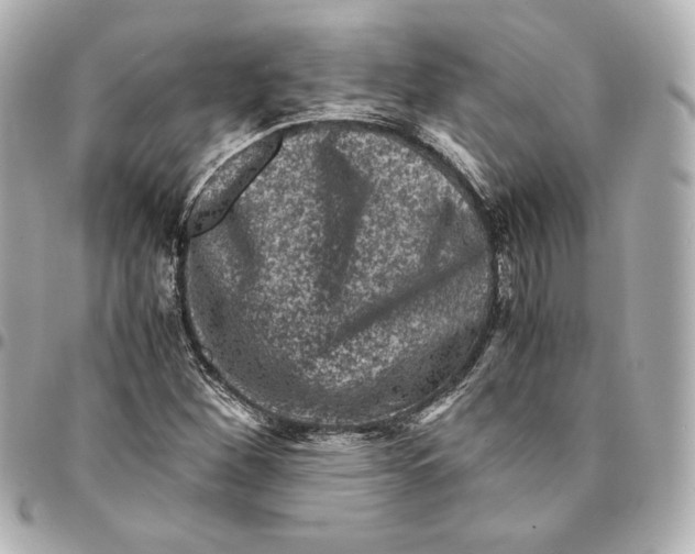 X0000094951260200712201129