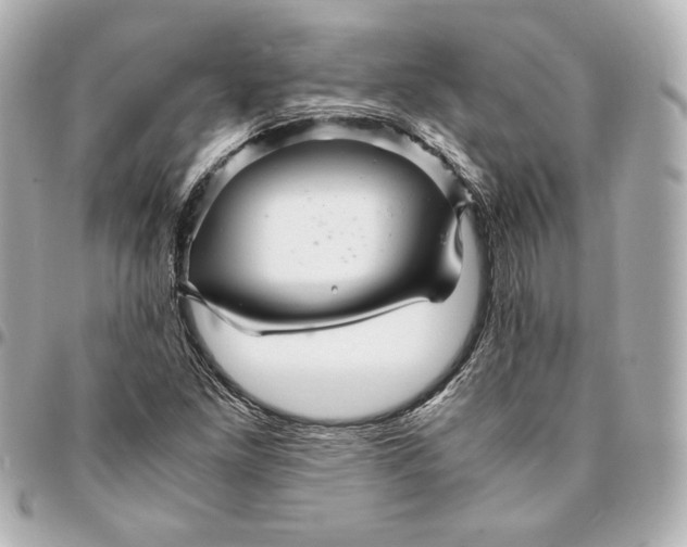 X0000094951261200712201129