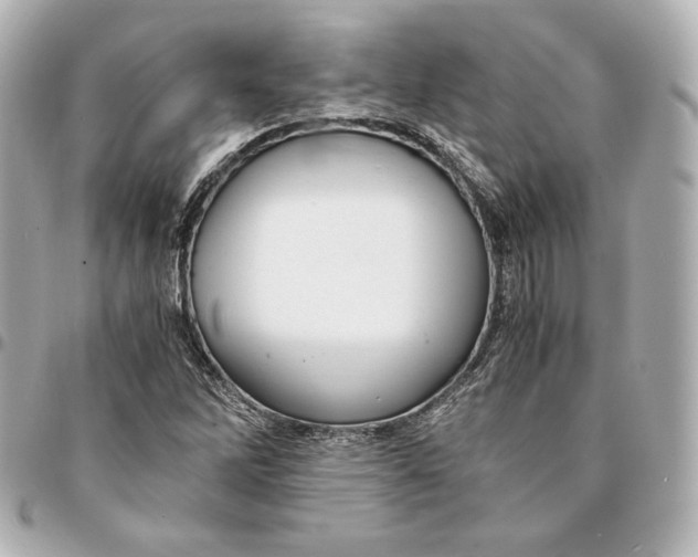 X0000094951262200712201129