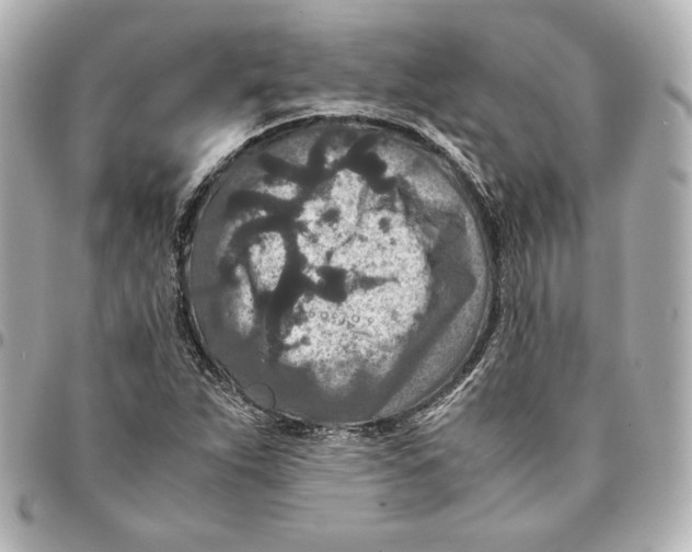 X0000094951263200712201129