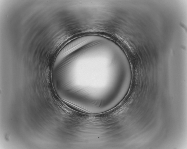 X0000094951265200712201129