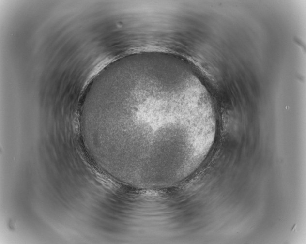 X0000094951266200712201129