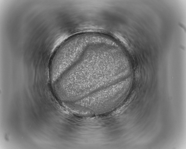 X0000094951267200712201129